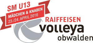 Logo Volleyball_1980